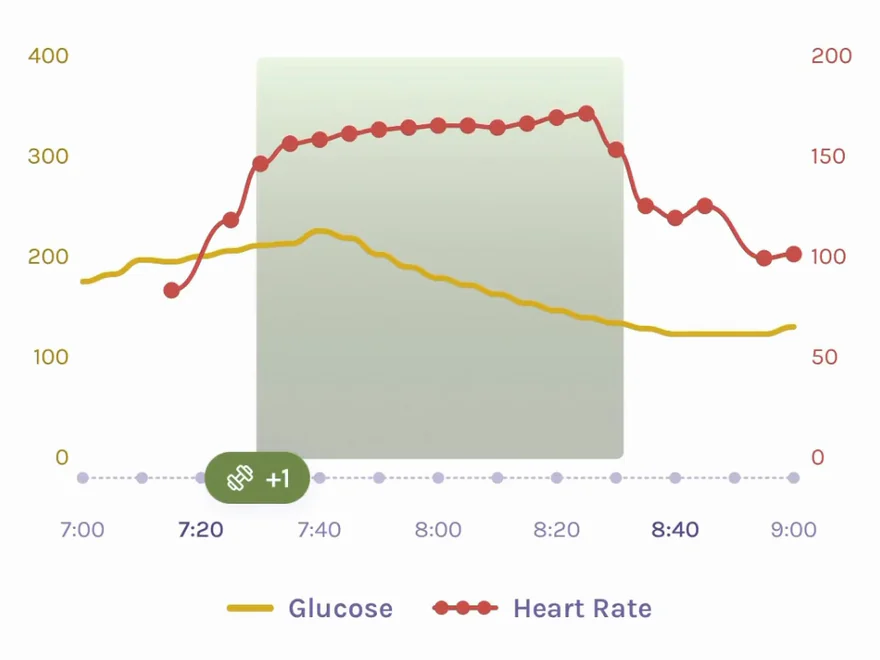 Workout chart from the app: heart rate climbs during a run while glucose falls